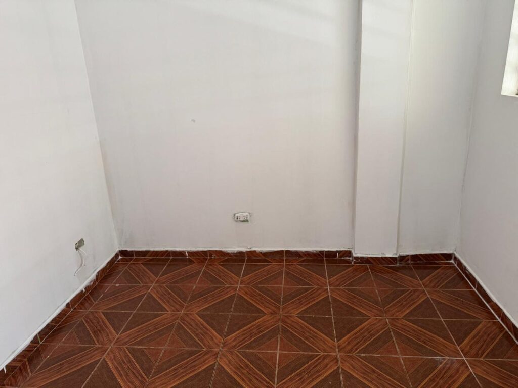 Imagen 5