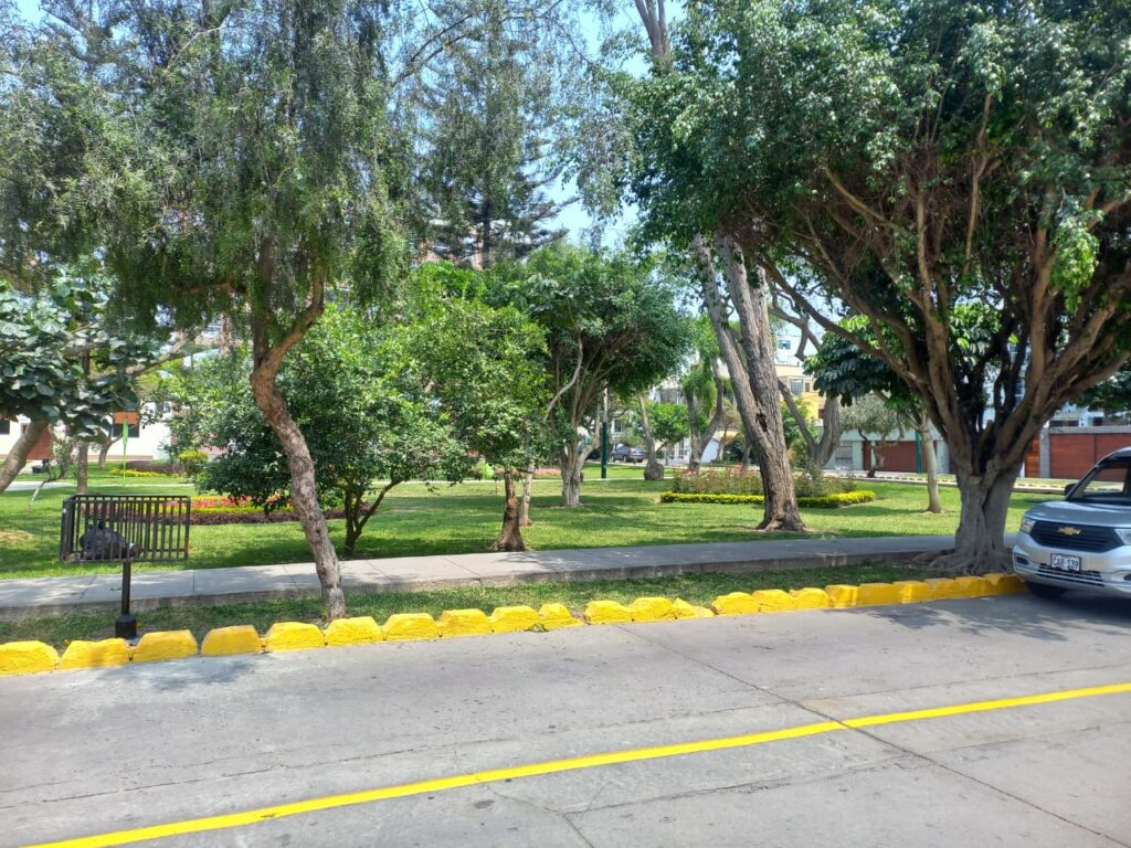 Imagen 5