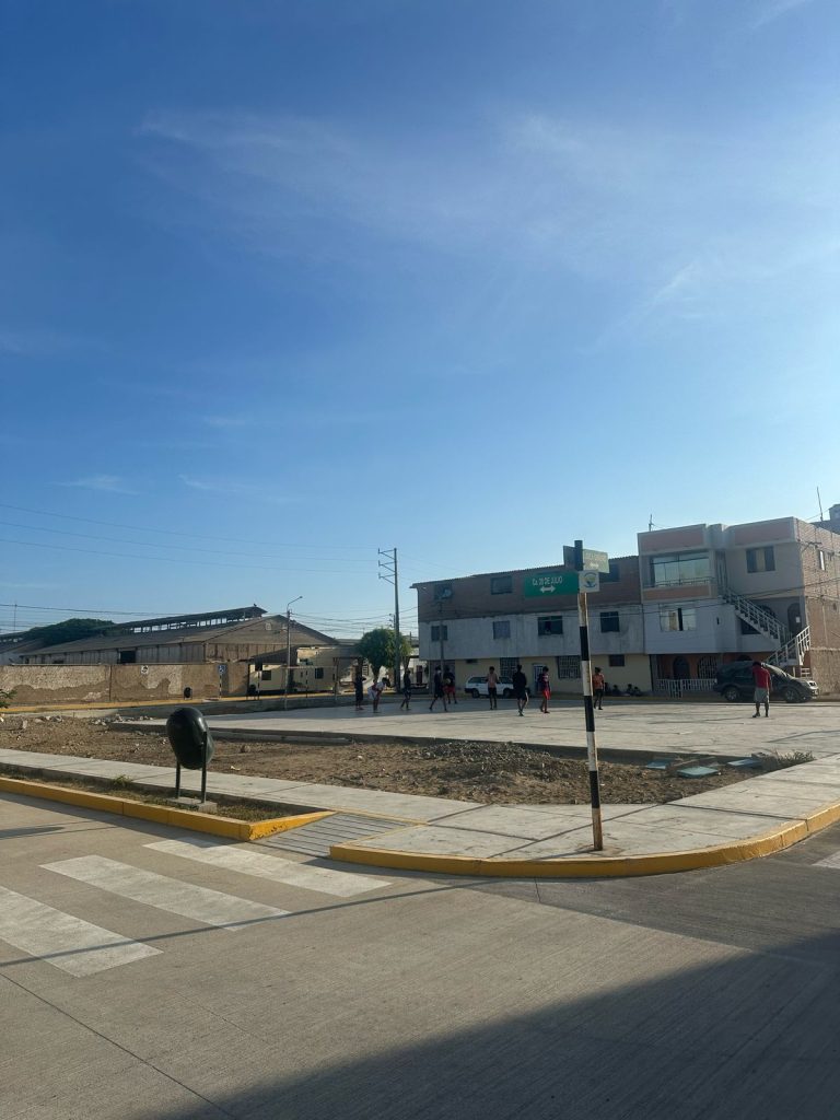 Imagen 5